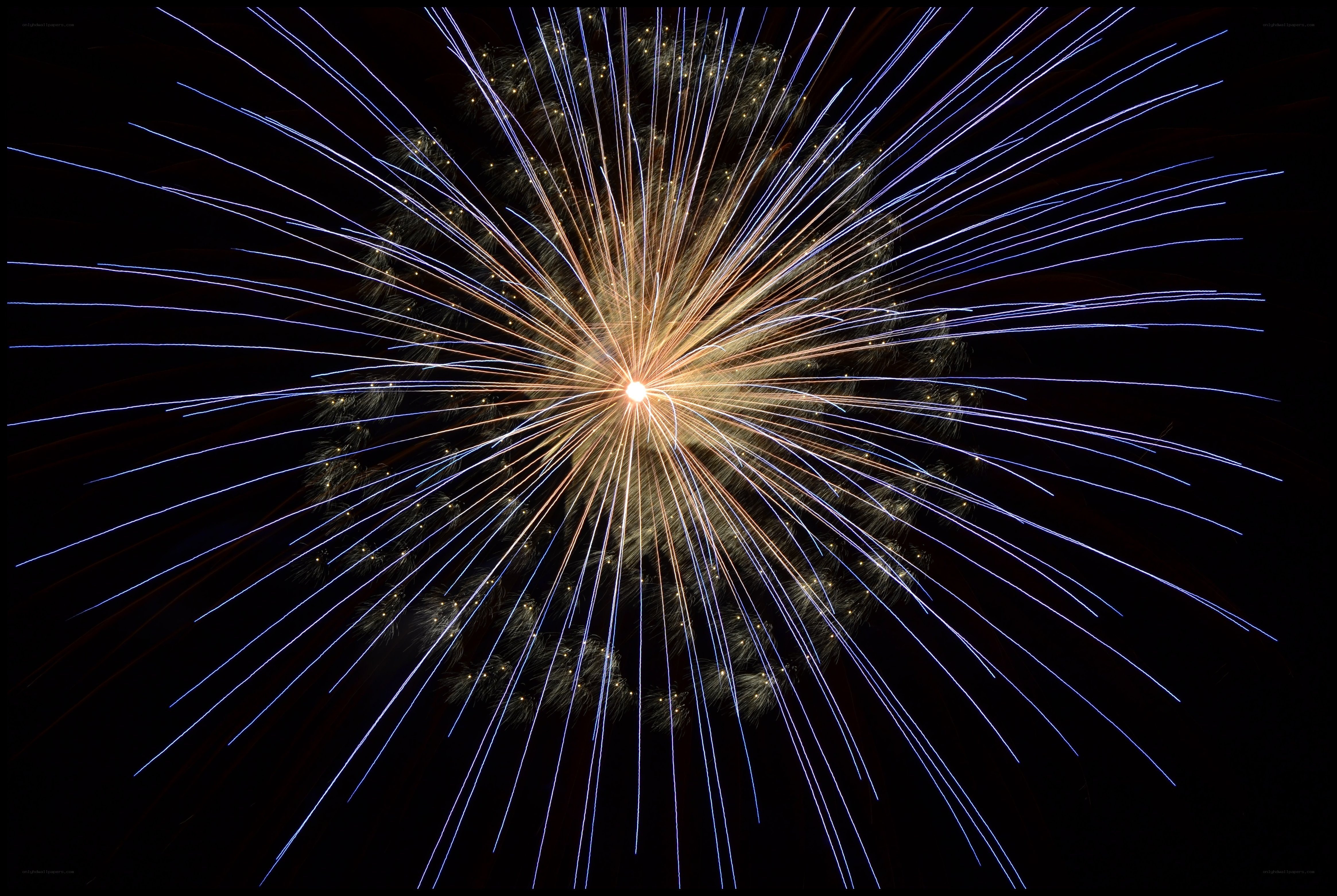 Fireworks display at night