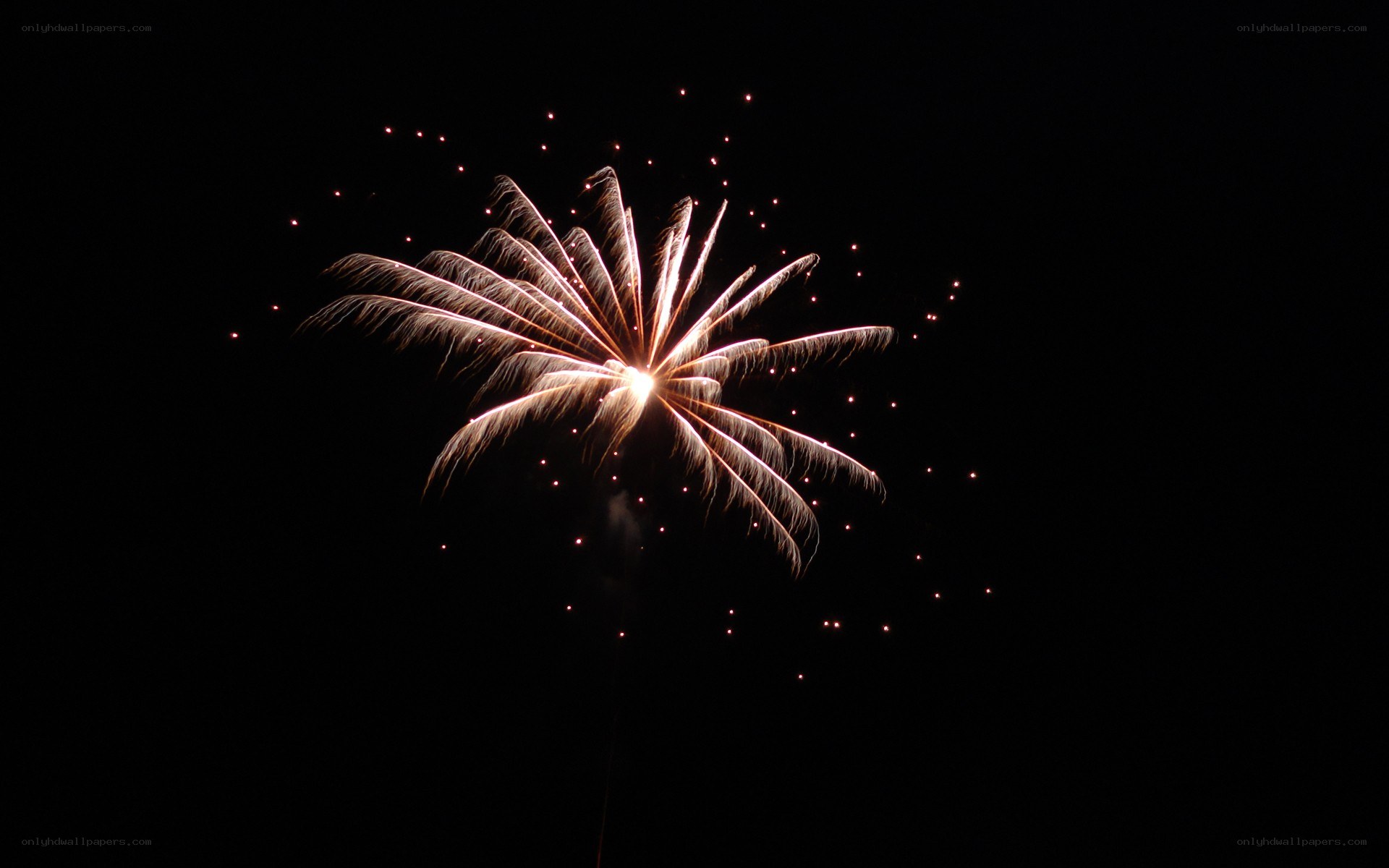 Fireworks display at night