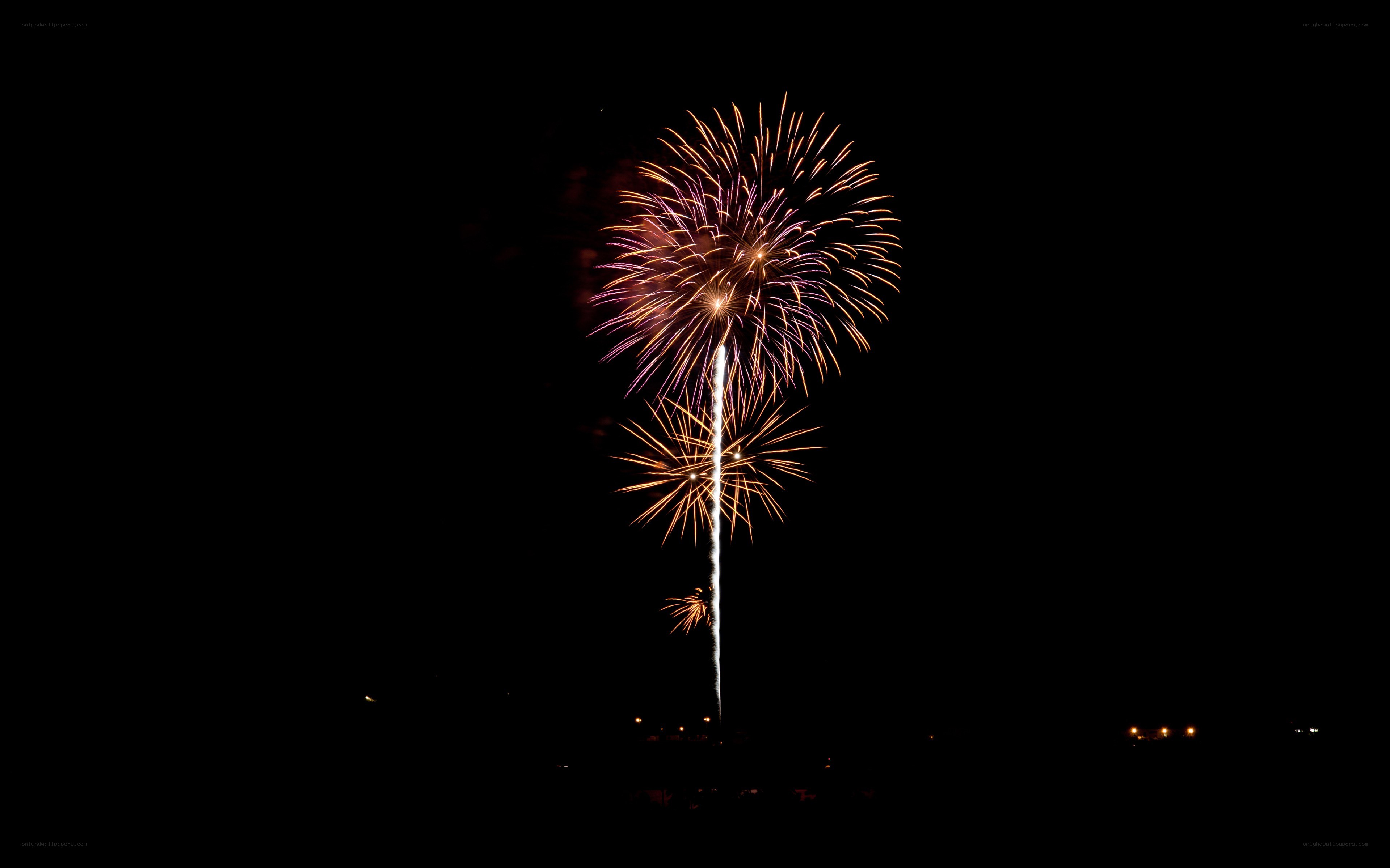 Fireworks display at night