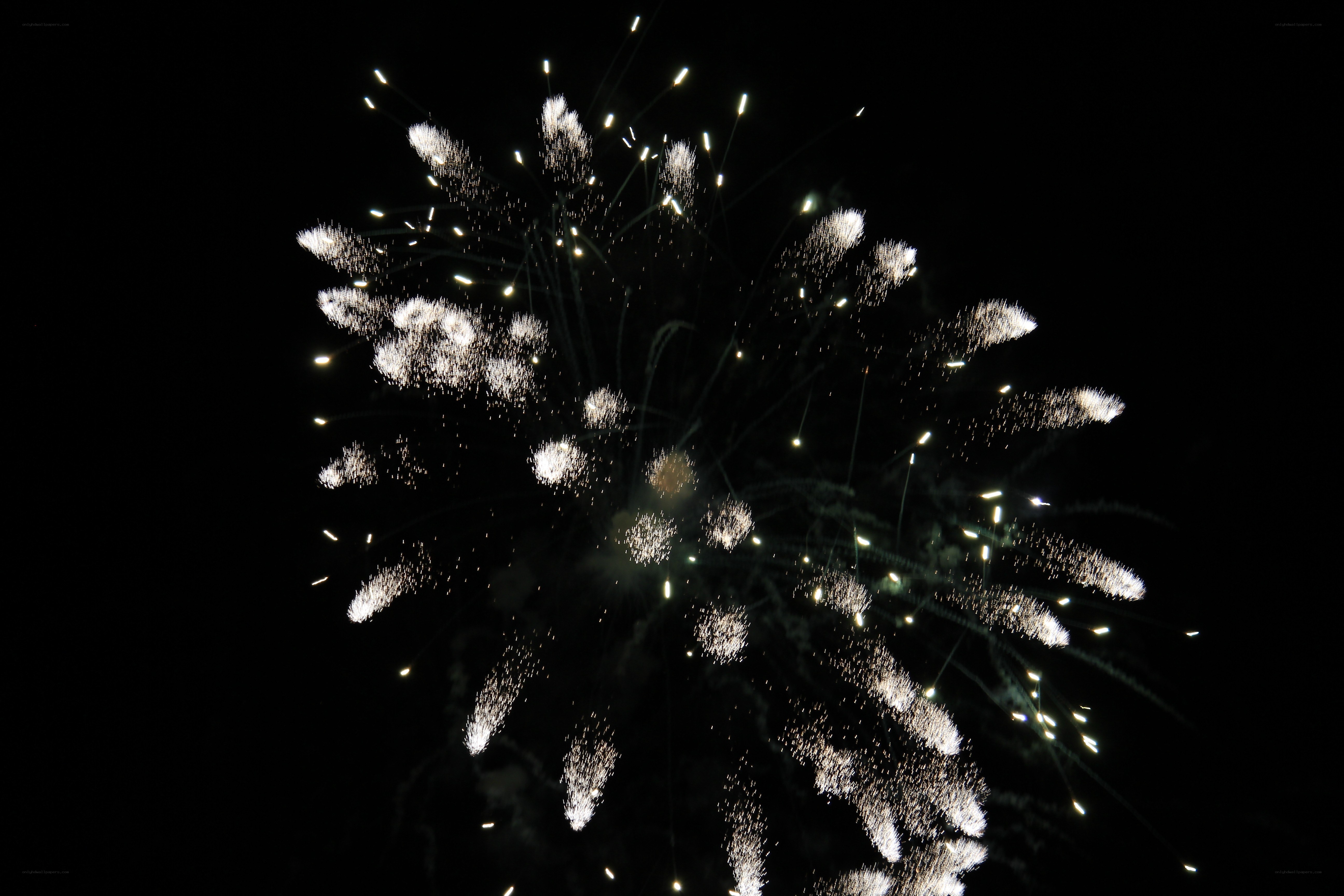 Fireworks display at night