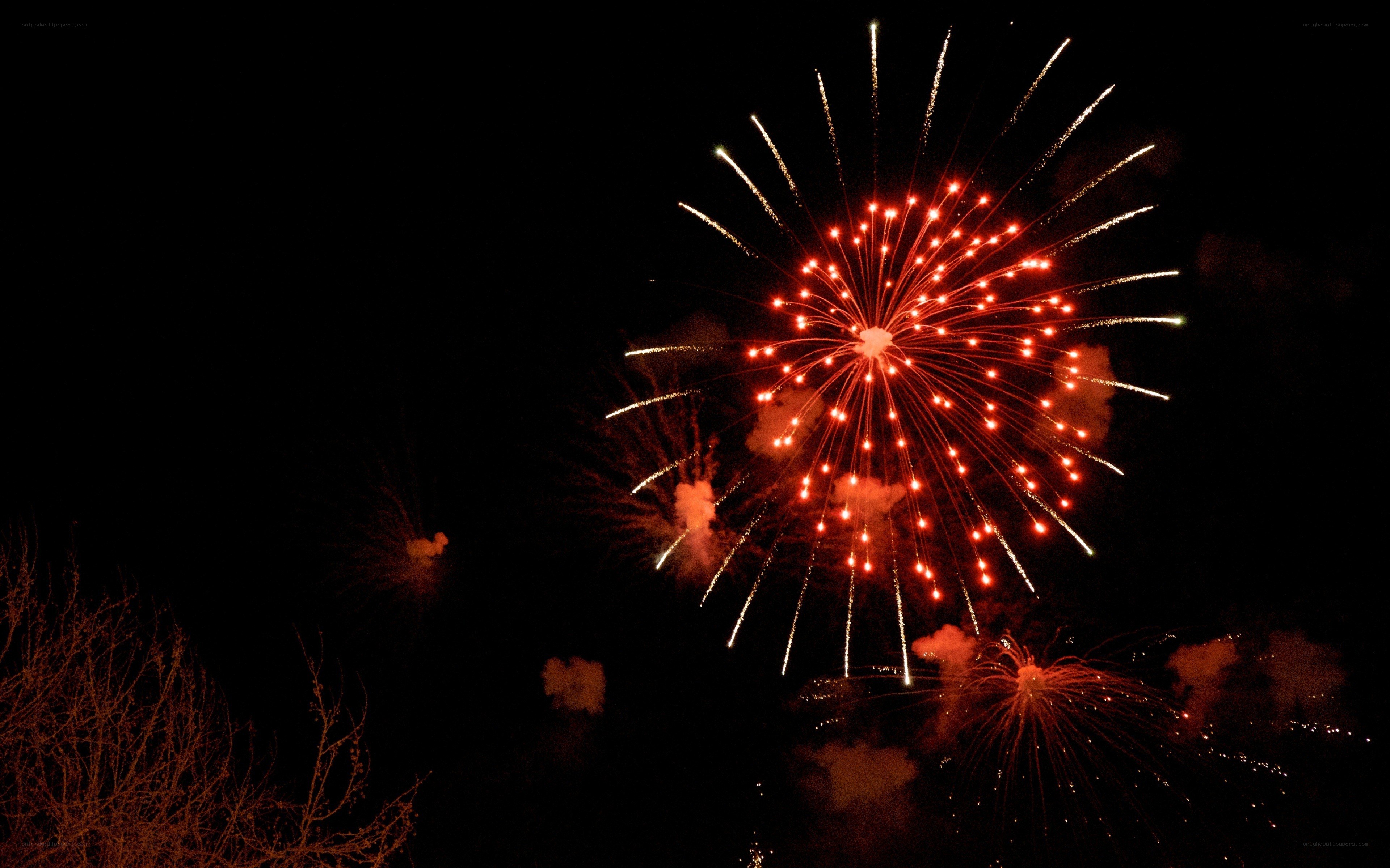 Fireworks display at night