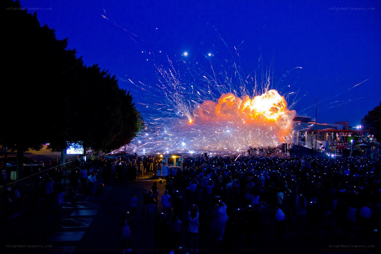 Fireworks display at night