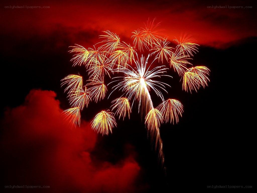 Fireworks display at night