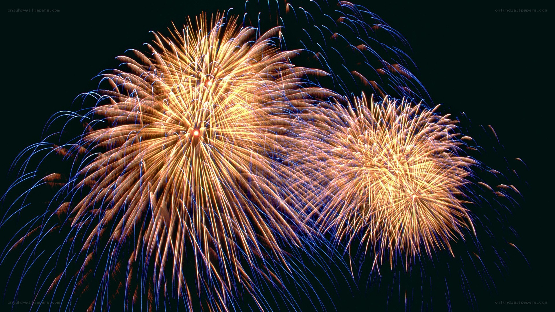 Fireworks display at night