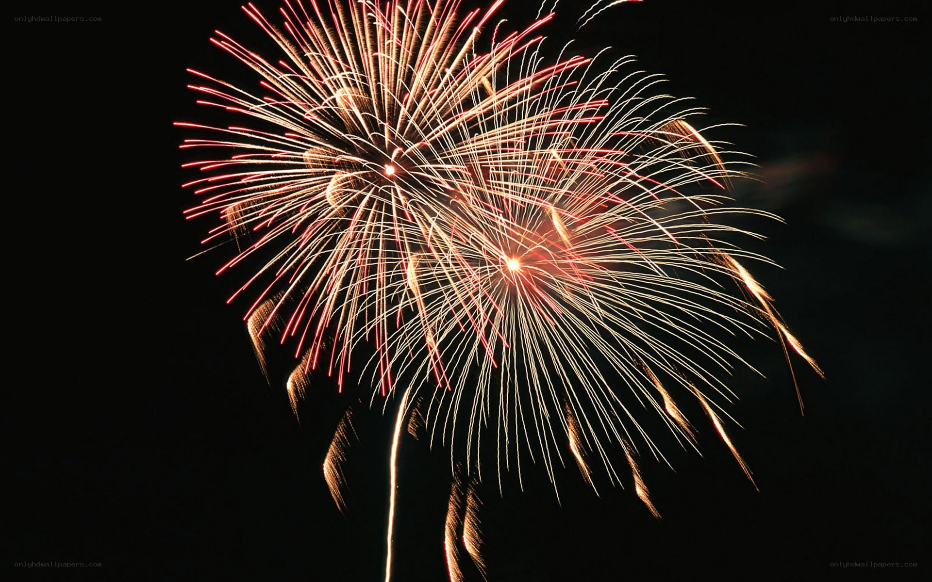 Fireworks display at night