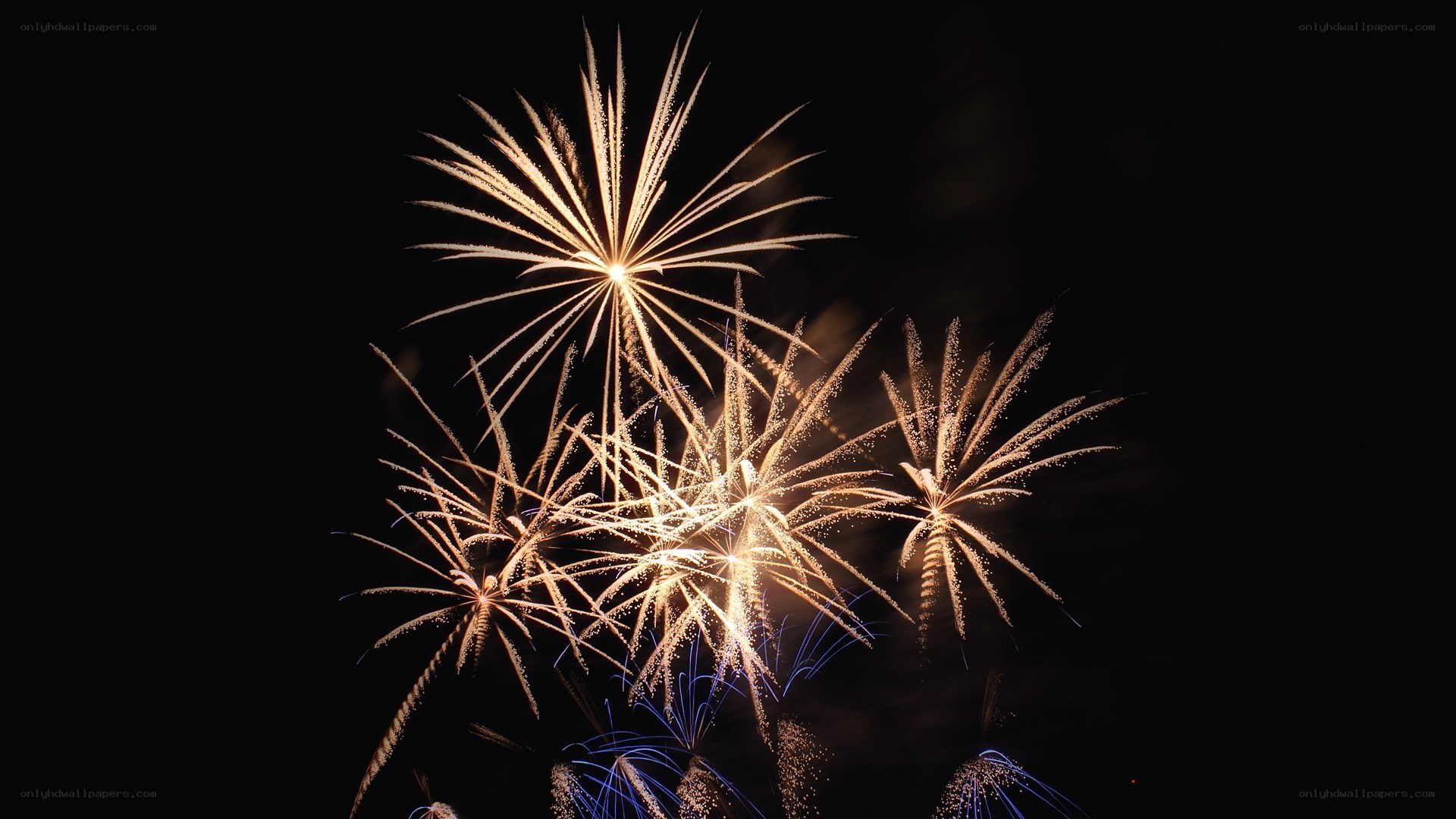 Fireworks display at night