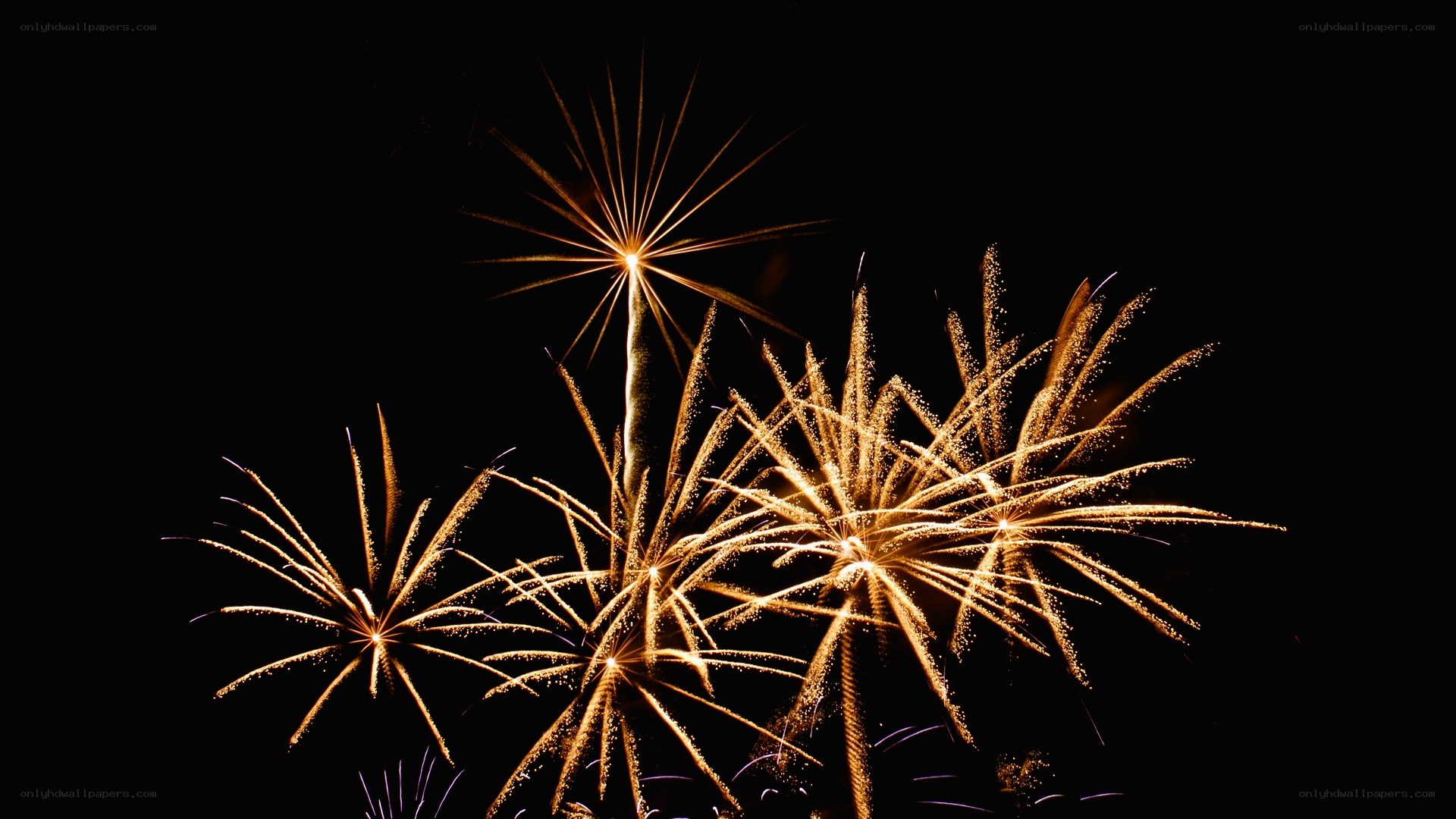 Fireworks display at night