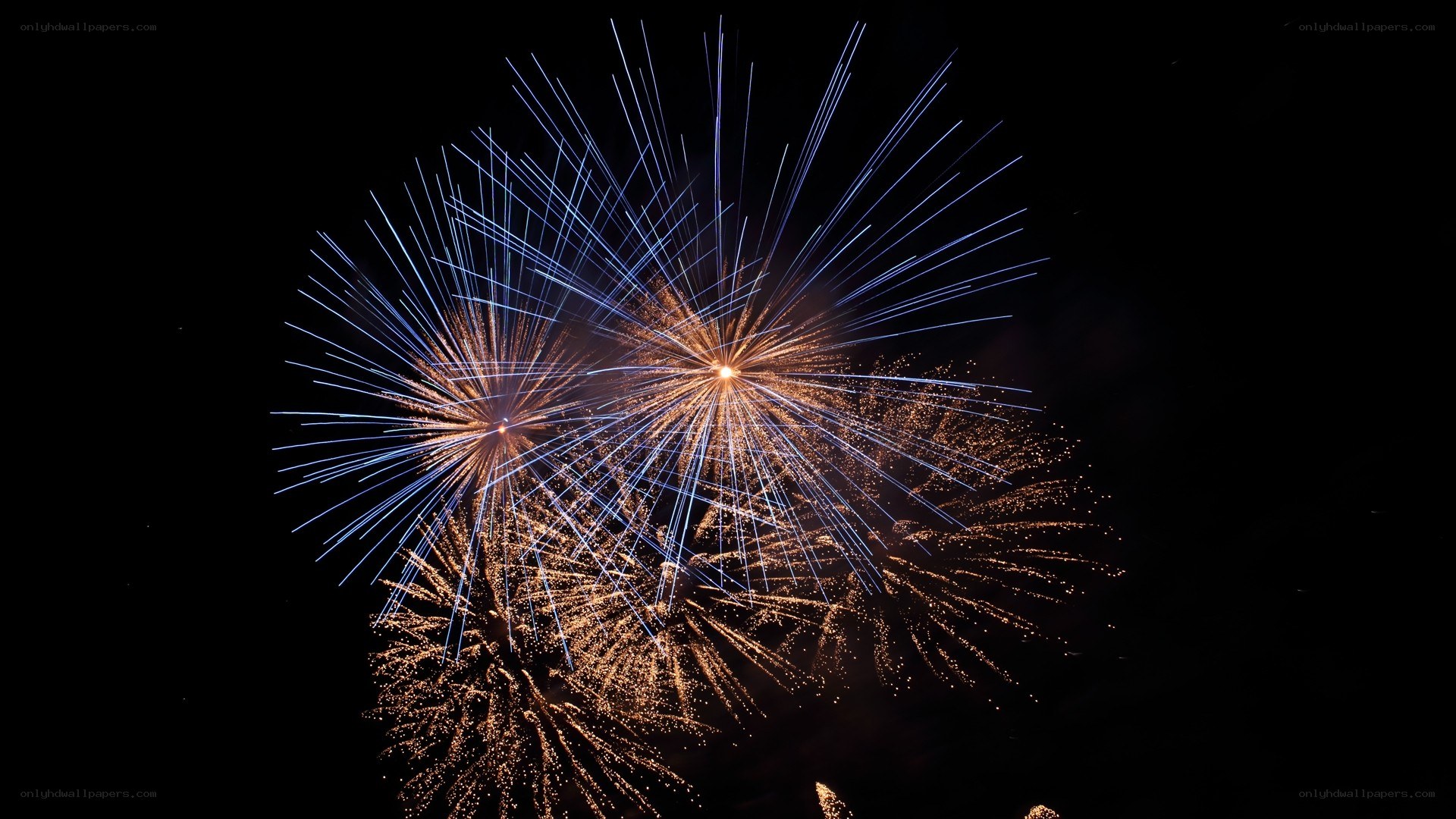 Fireworks display at night