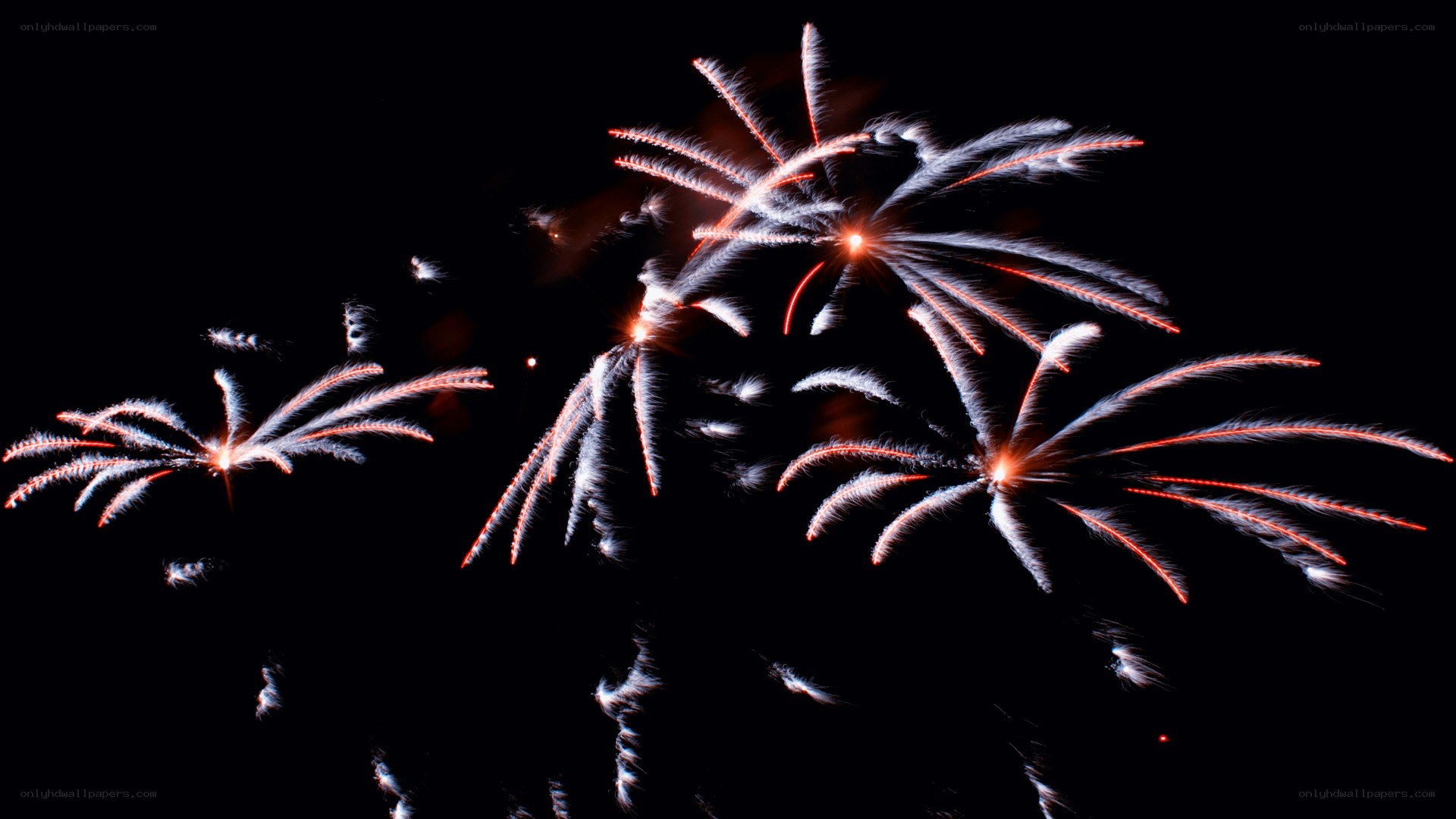 Fireworks display at night