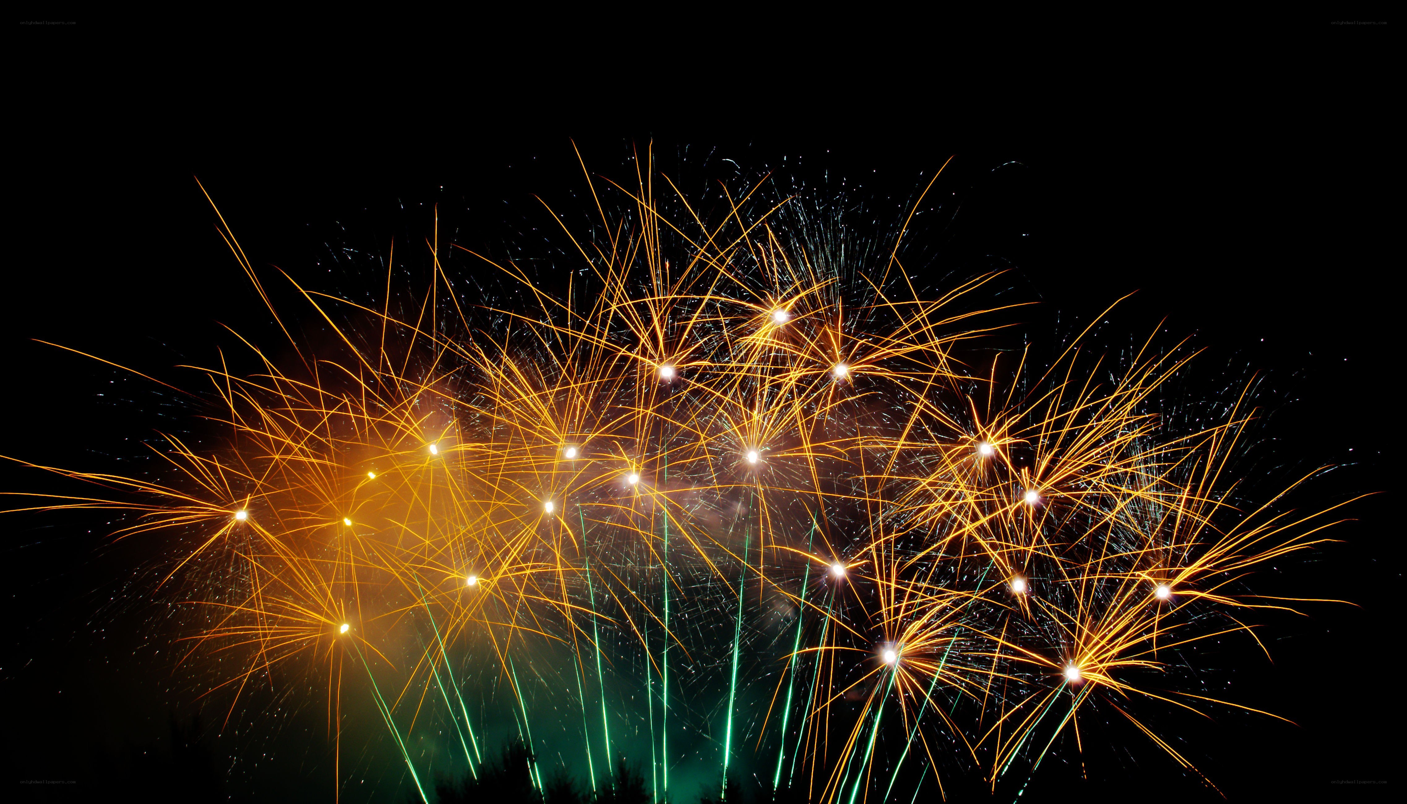 Fireworks display at night