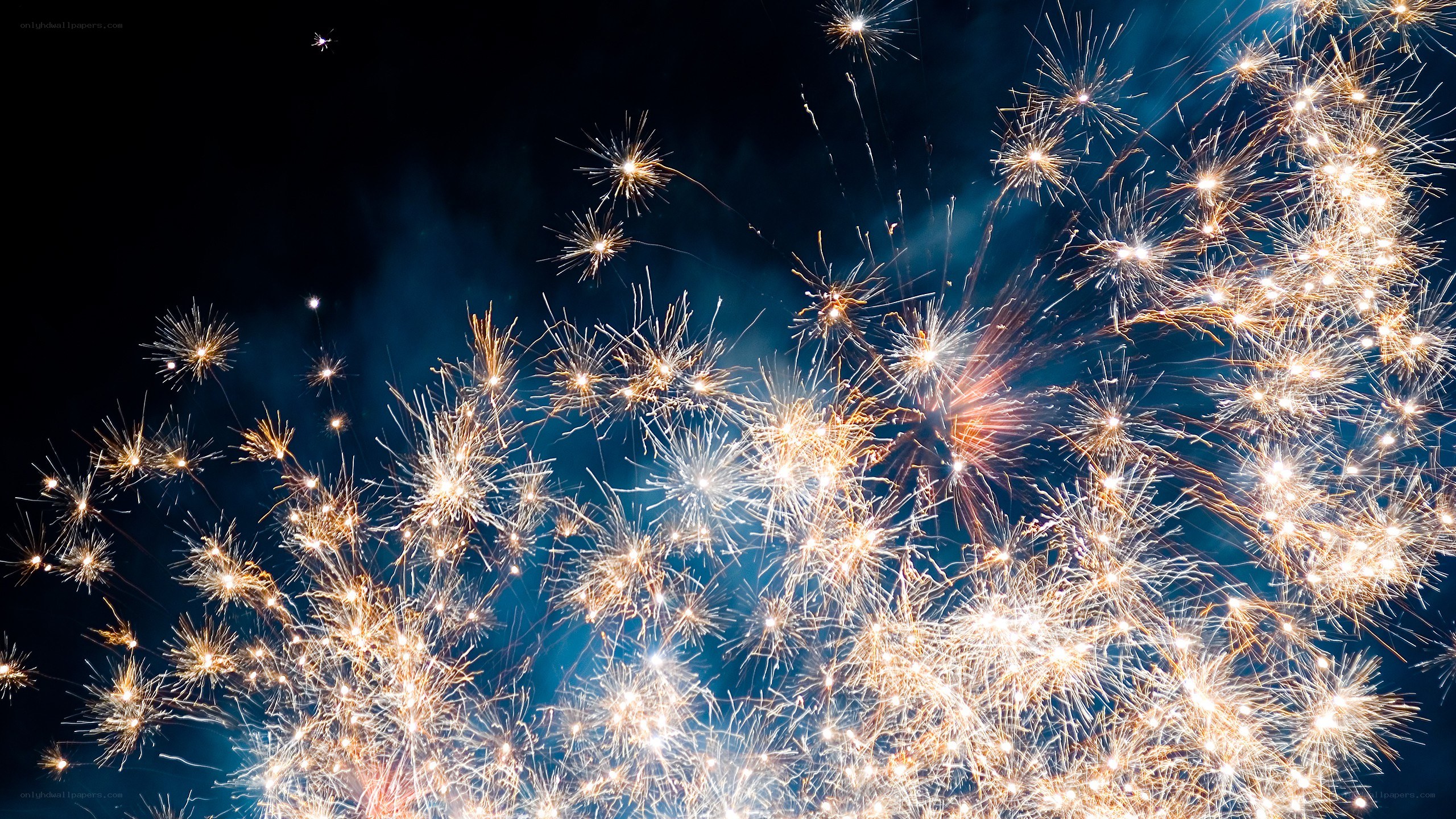 Fireworks display at night
