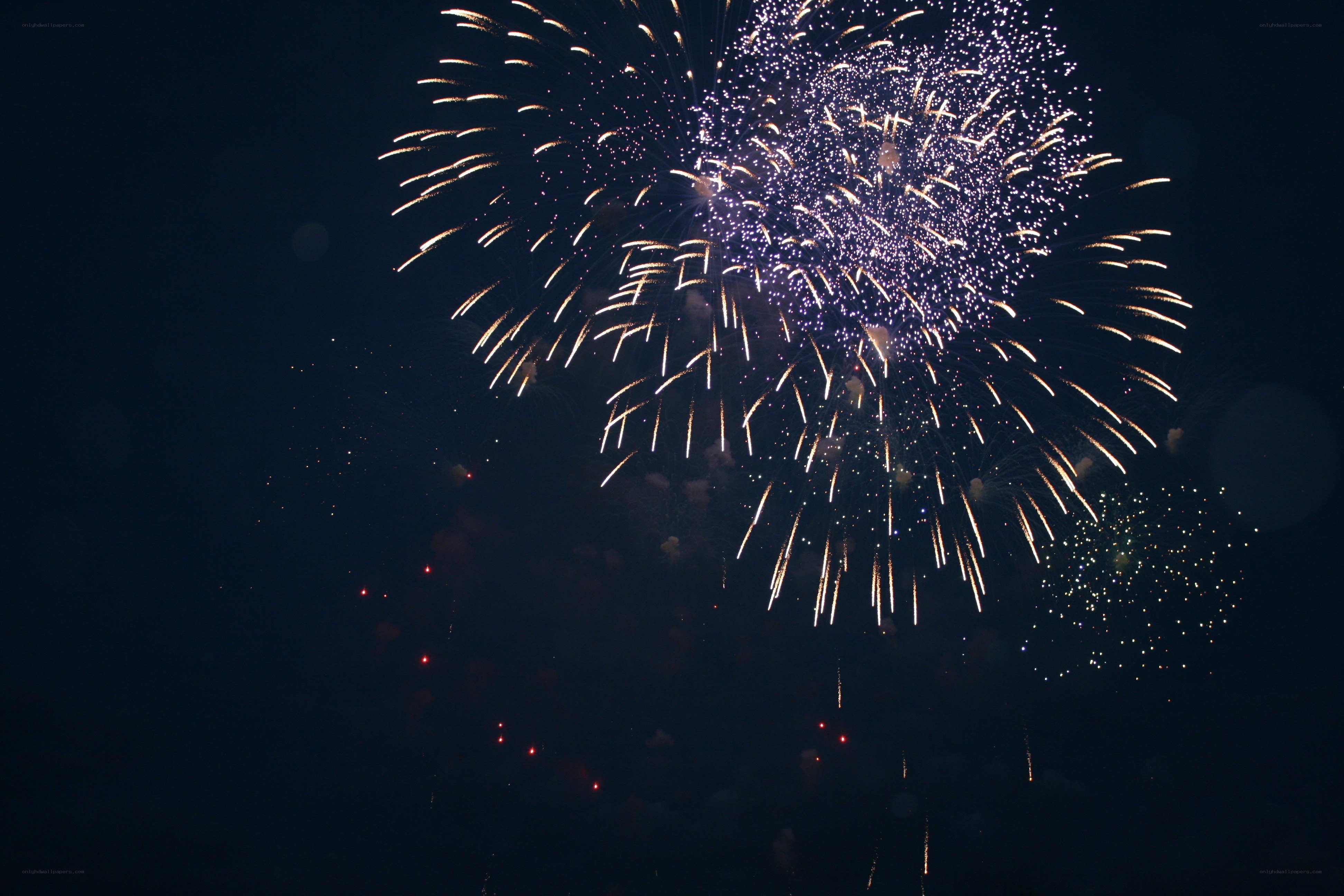Fireworks display at night