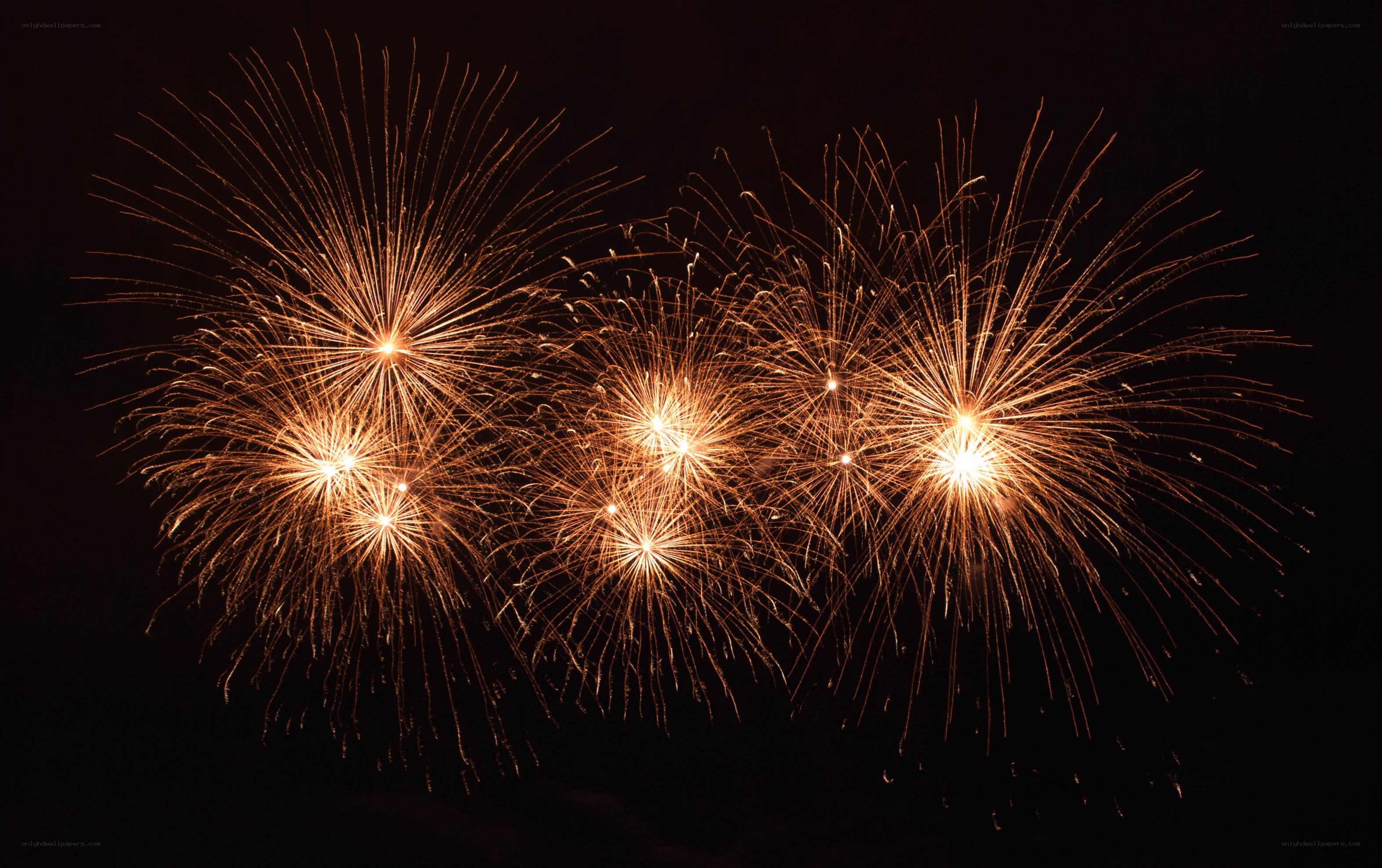 Fireworks display at night