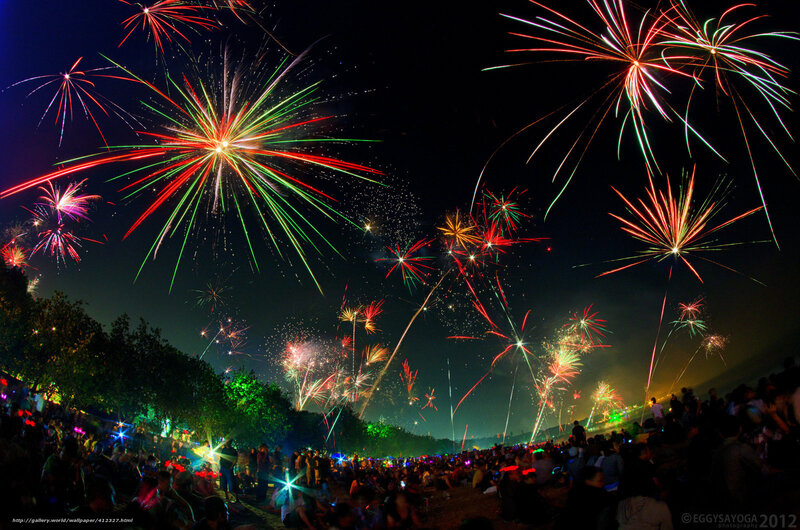 Fireworks Display at Night — Black, Festive, Photograph, Crowd, Trees