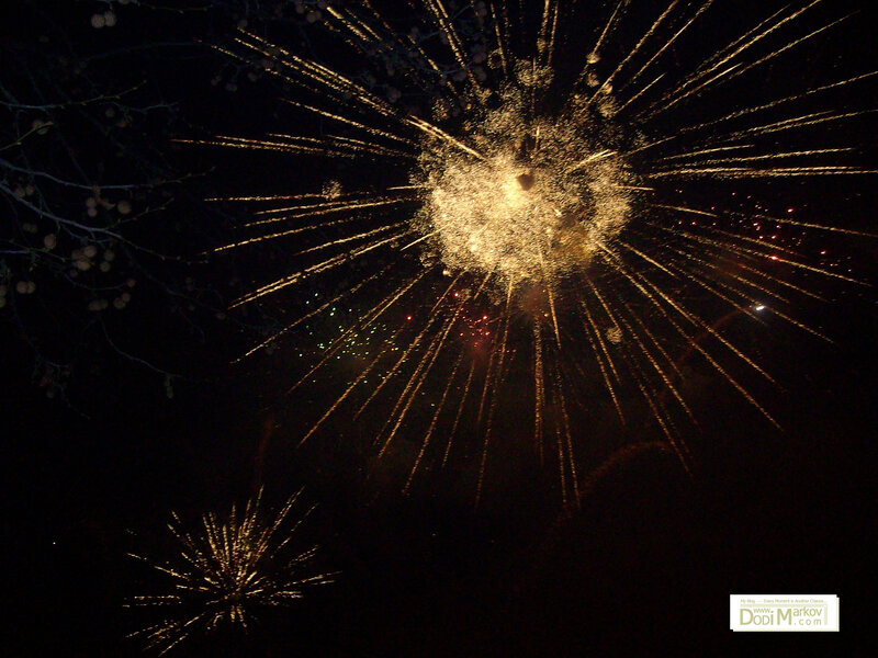 Fireworks Display at Night — Black