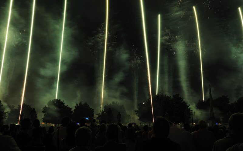 Fireworks Display at Night — Green
