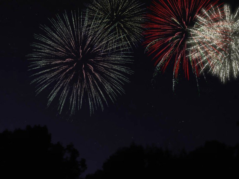Fireworks Display — Black, Celebratory, Night, Photograph, Sky, Trees