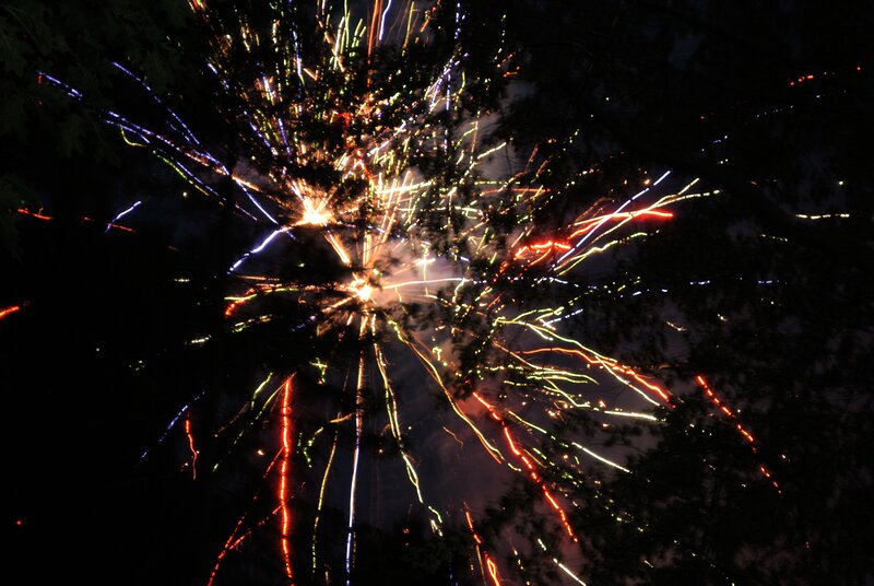 Fireworks Display — Black, Festive, Night, Photograph, Trees
