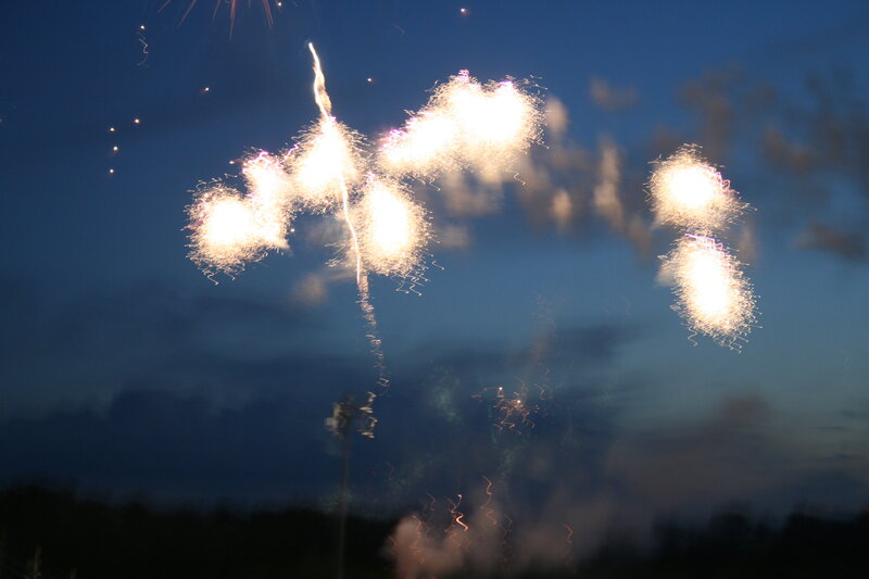 Fireworks Display — Blue, Dramatic, Night, Photograph, Sky, Trees