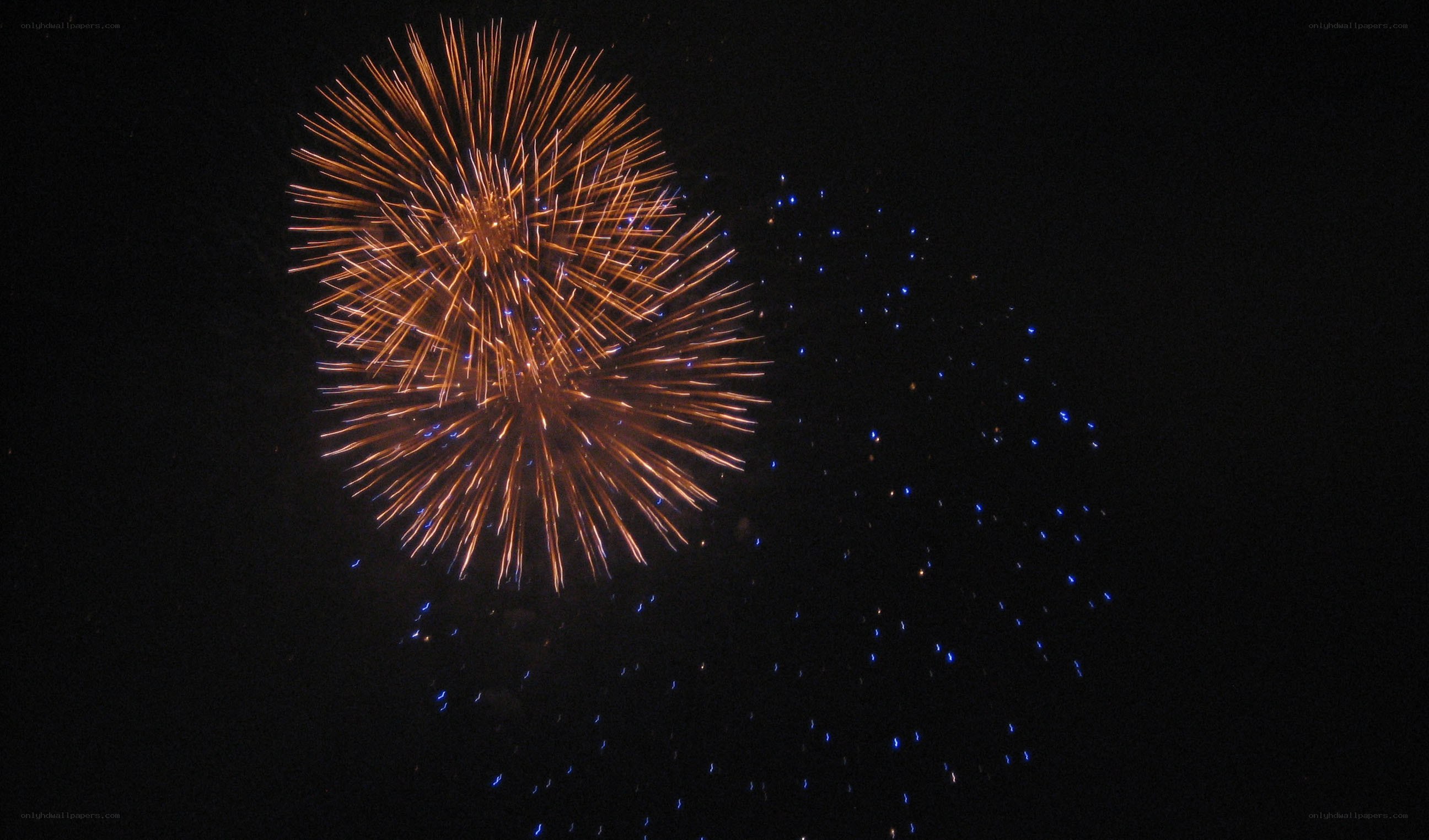 Fireworks display in night sky