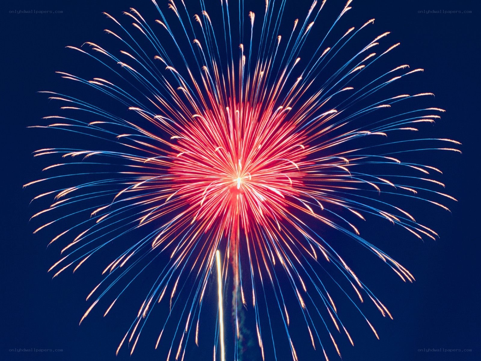 Fireworks display in night sky