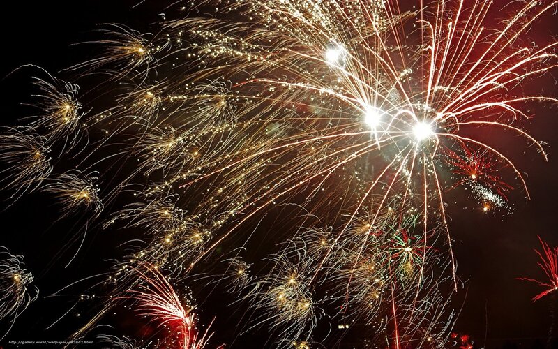 Fireworks Display in Night Sky — Black