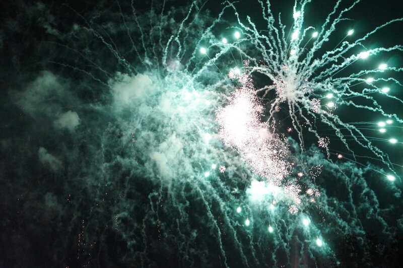 Fireworks Display in Night Sky — Green