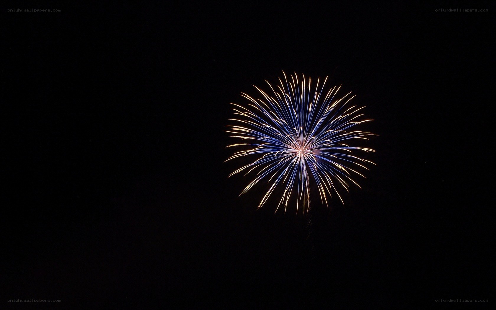 Fireworks display in night sky
