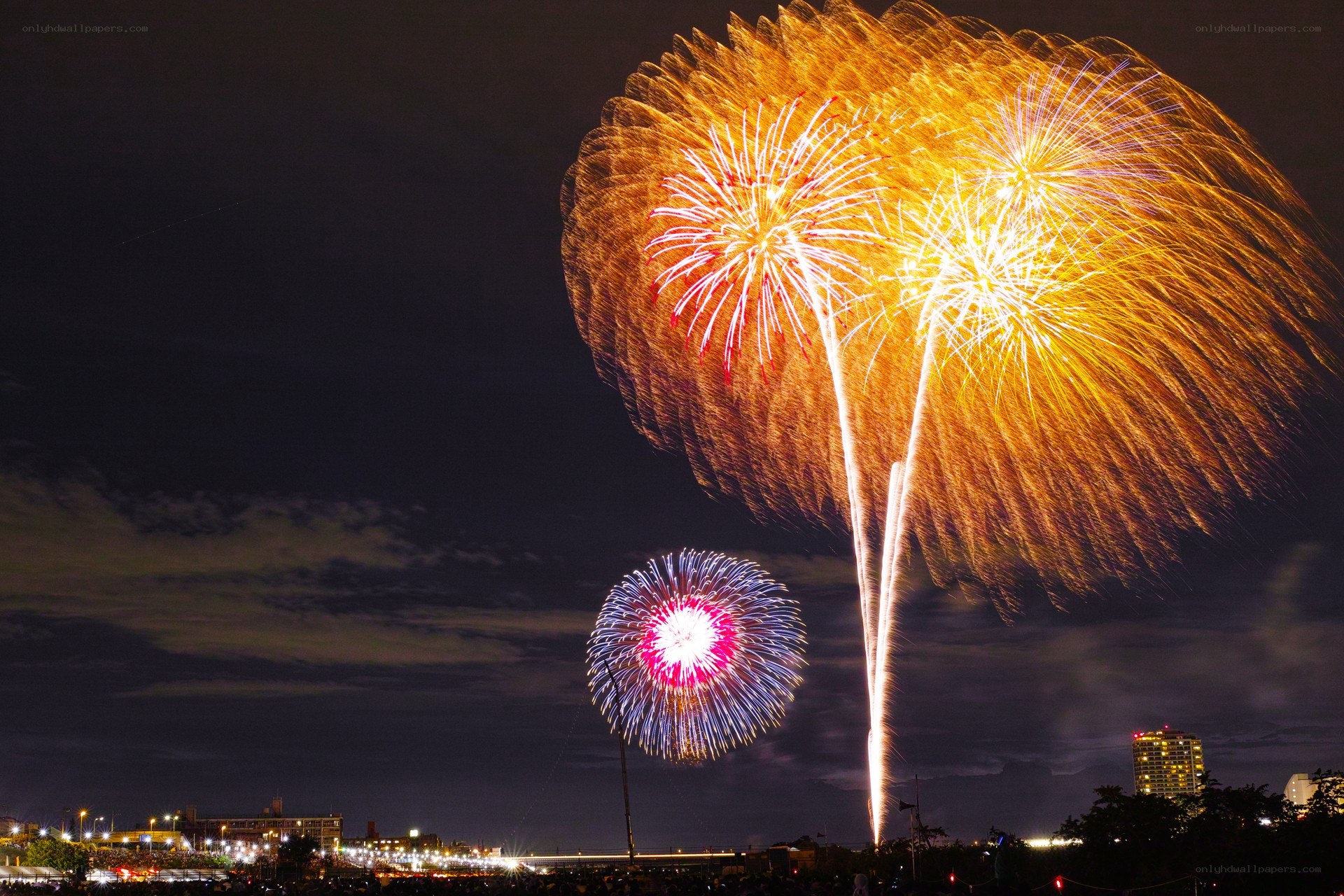 Fireworks display over city