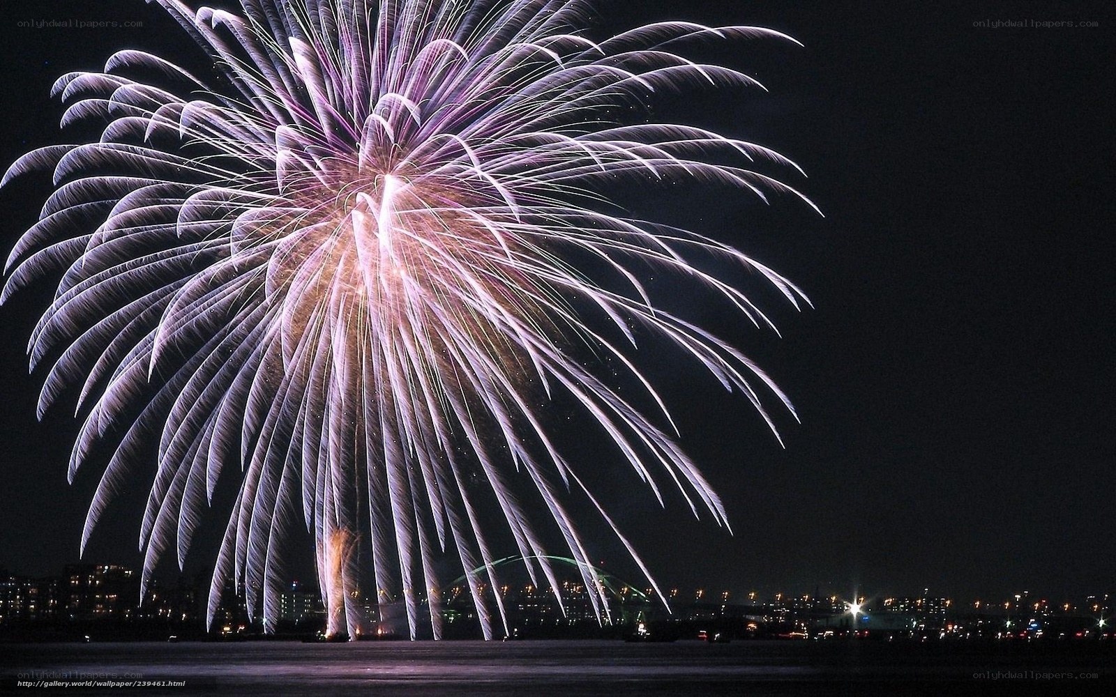 Fireworks display over city