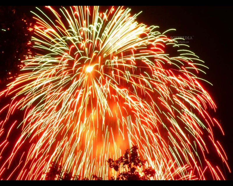 Fireworks Display — Red, Dramatic, Night, Photograph, Sky, Trees