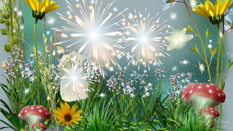 Fireworks in a Meadow