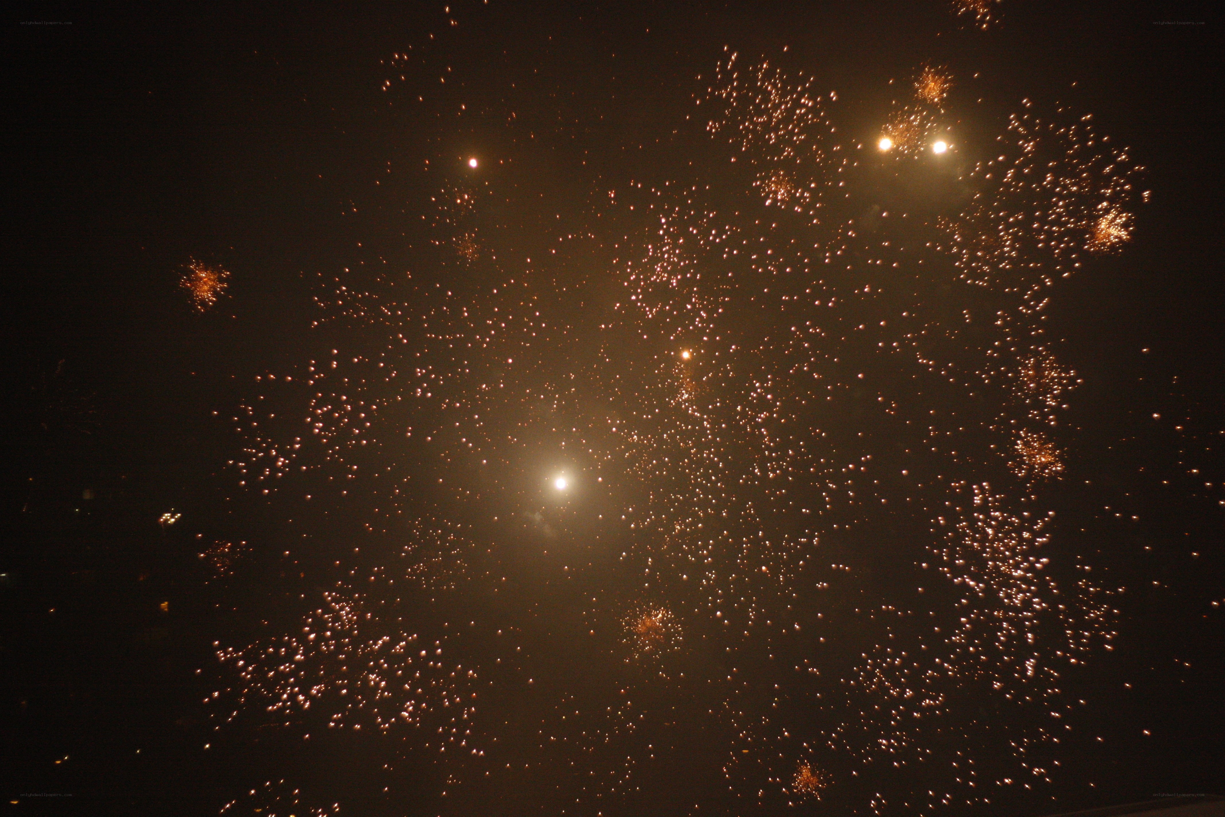 Fireworks in the night sky