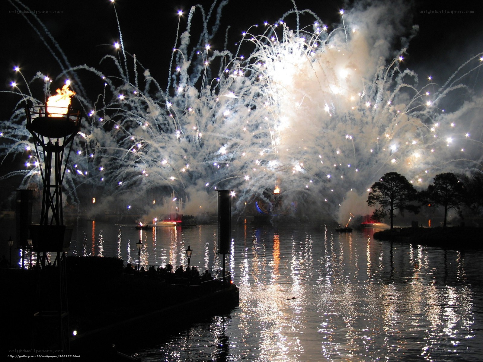 Fireworks over a lake at night