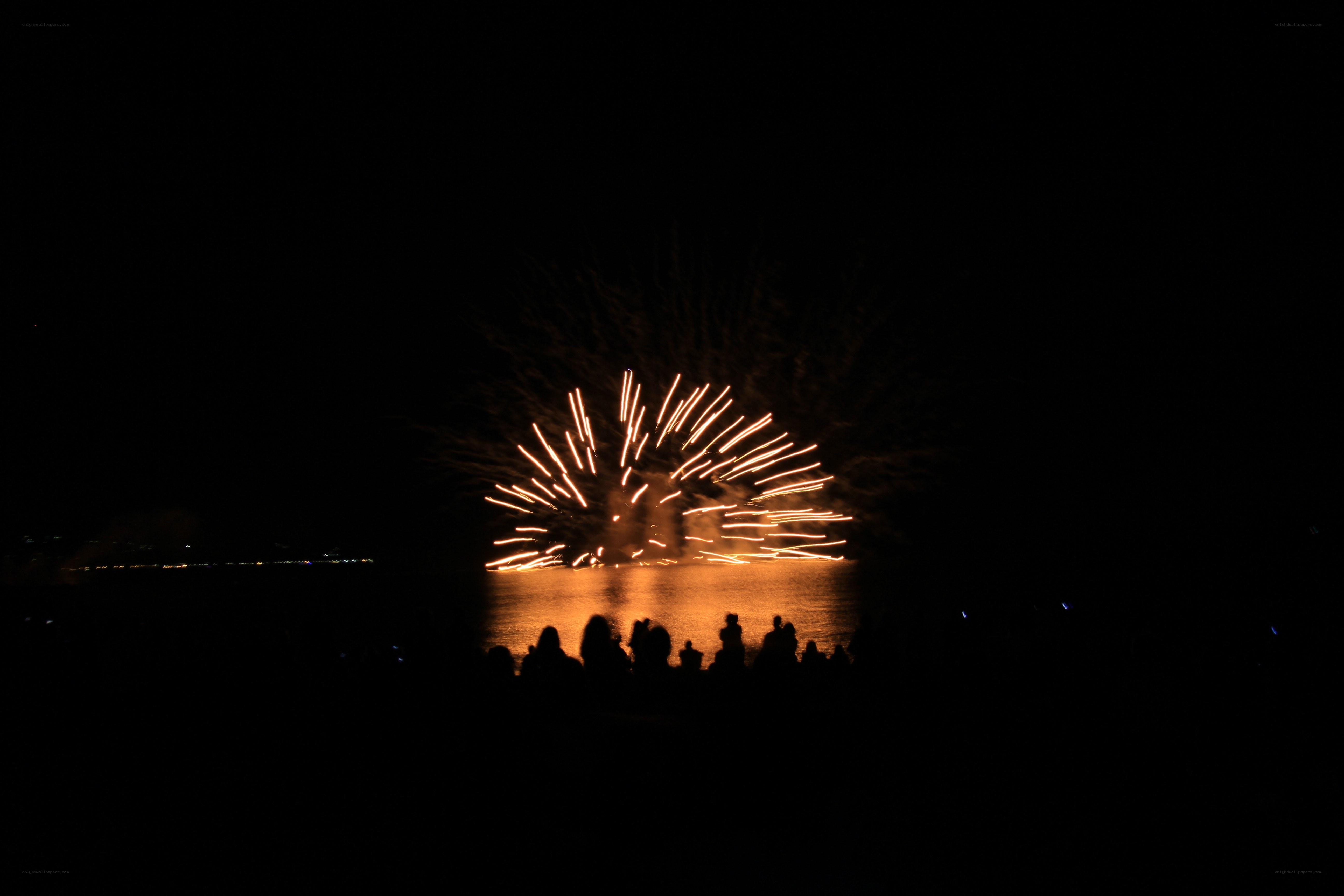 Fireworks over the water at night