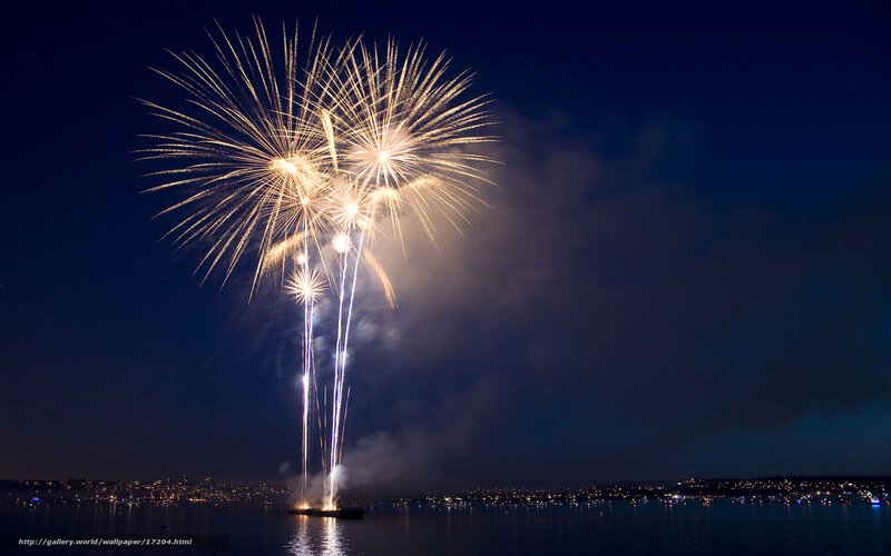 Fireworks over the water