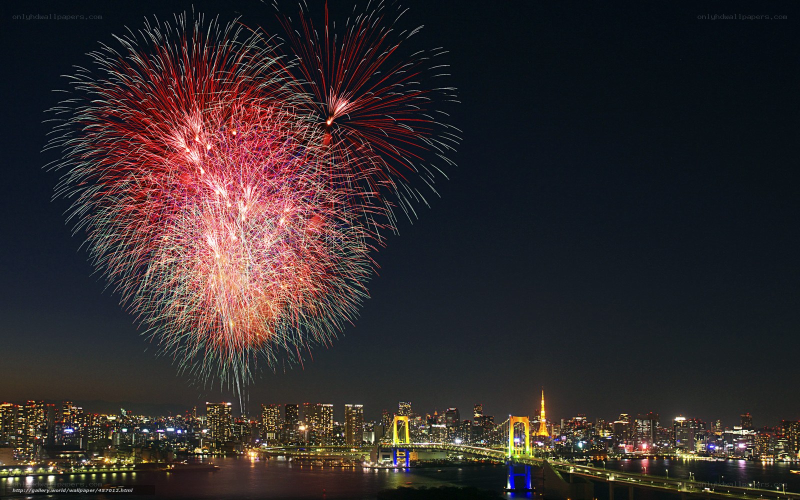 Fireworks over Tokyo Bay