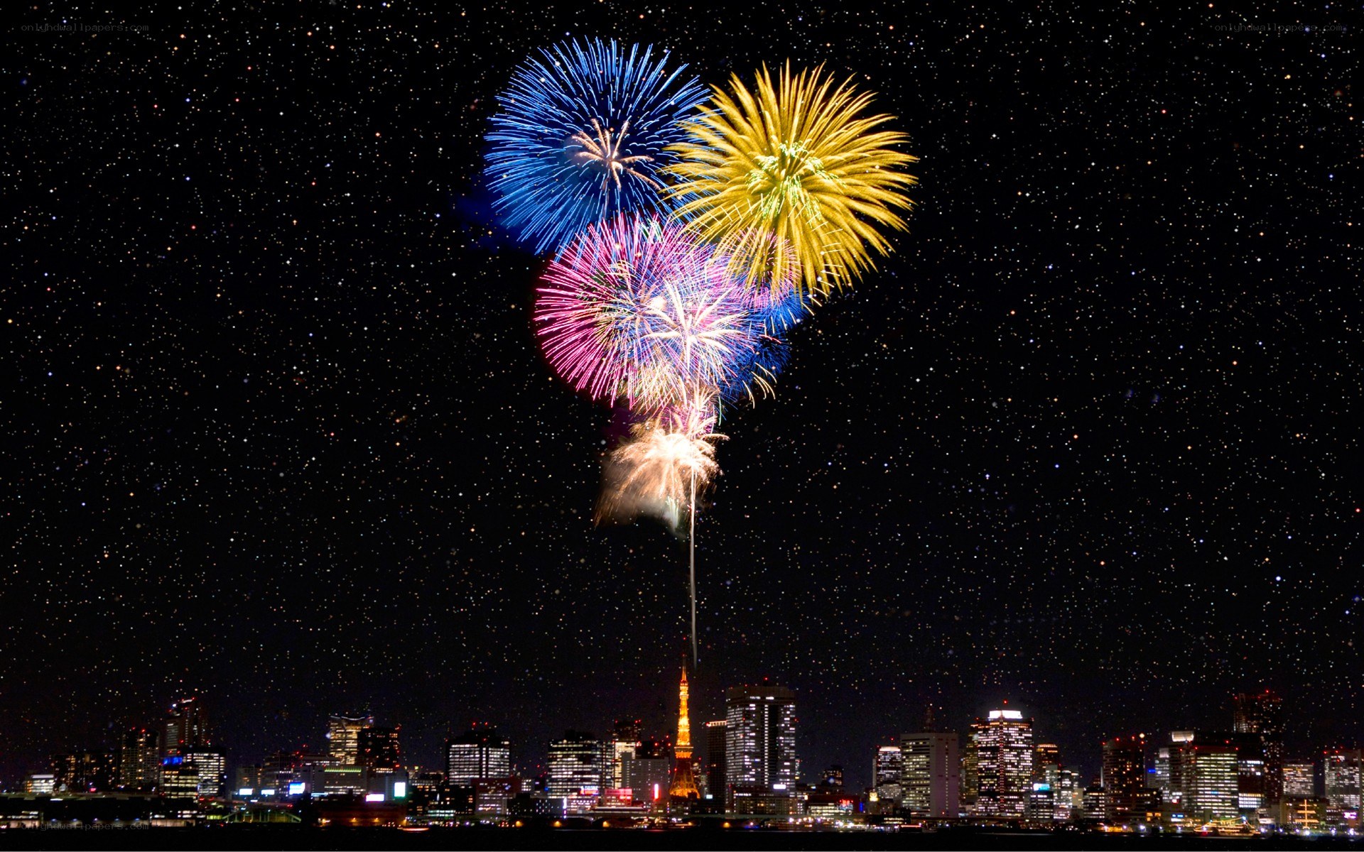 Fireworks over Tokyo skyline