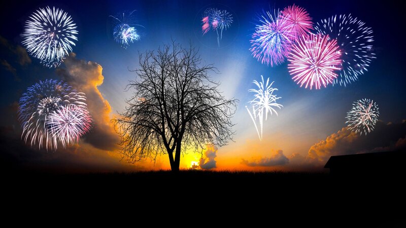 Fireworks over Tree