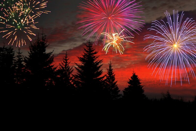 Fireworks over Trees