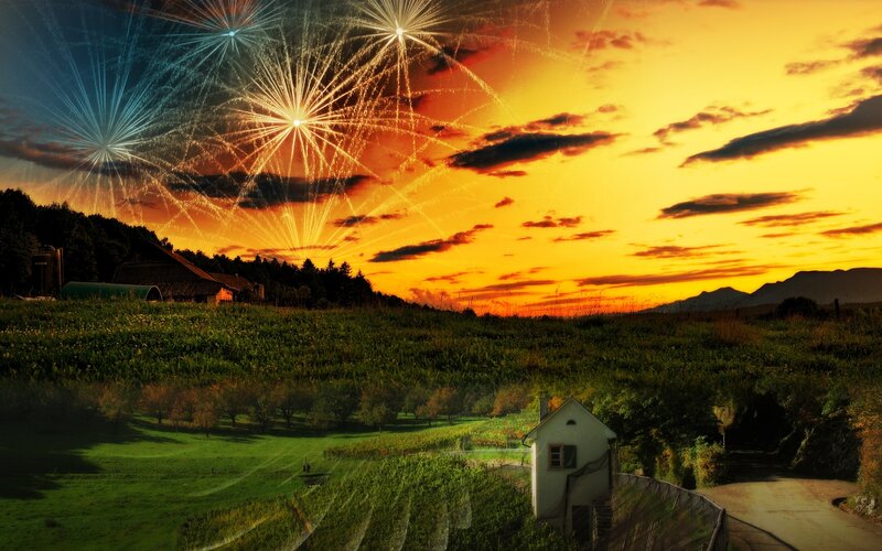 Fireworks over vineyard at sunset