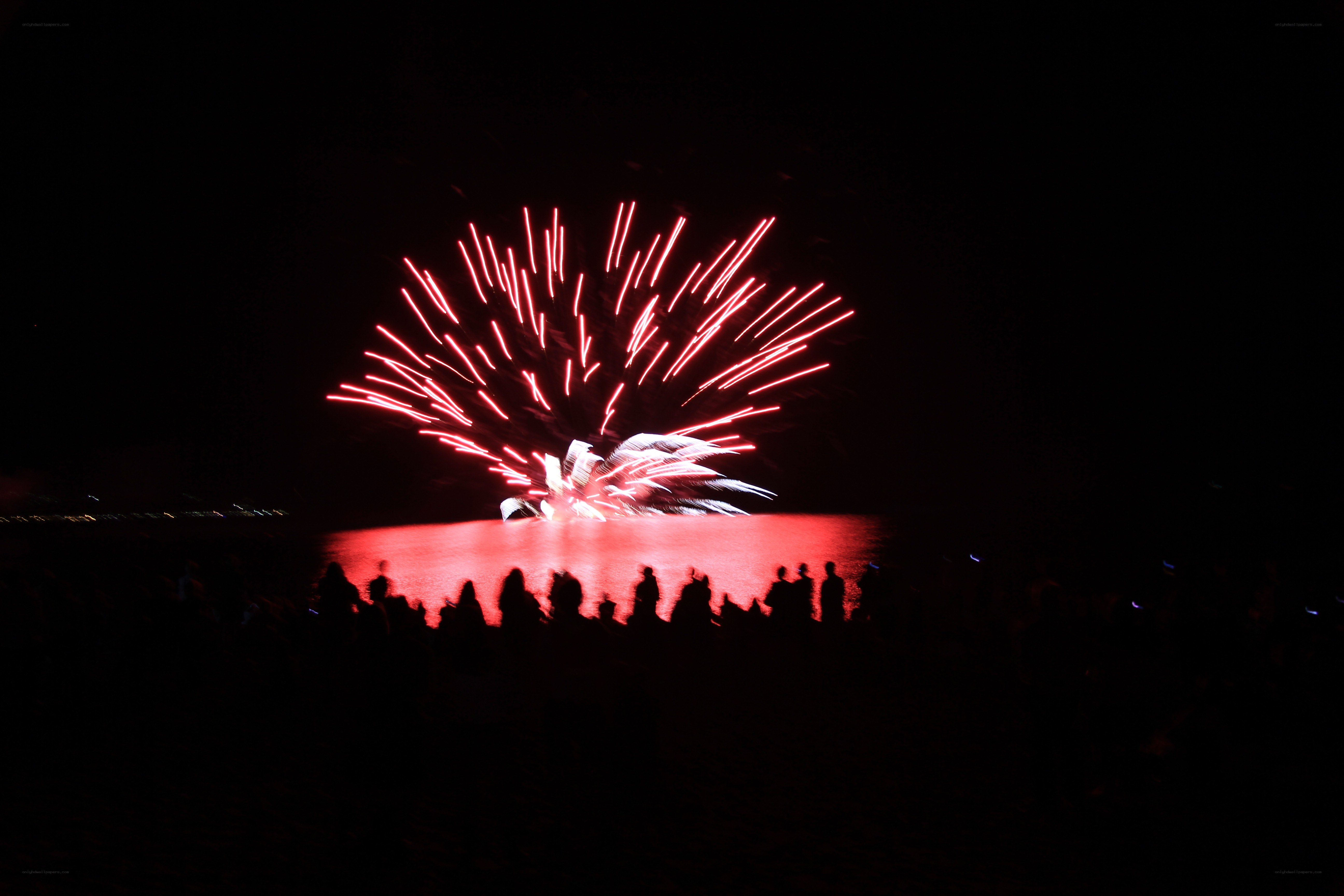 Fireworks over water at night