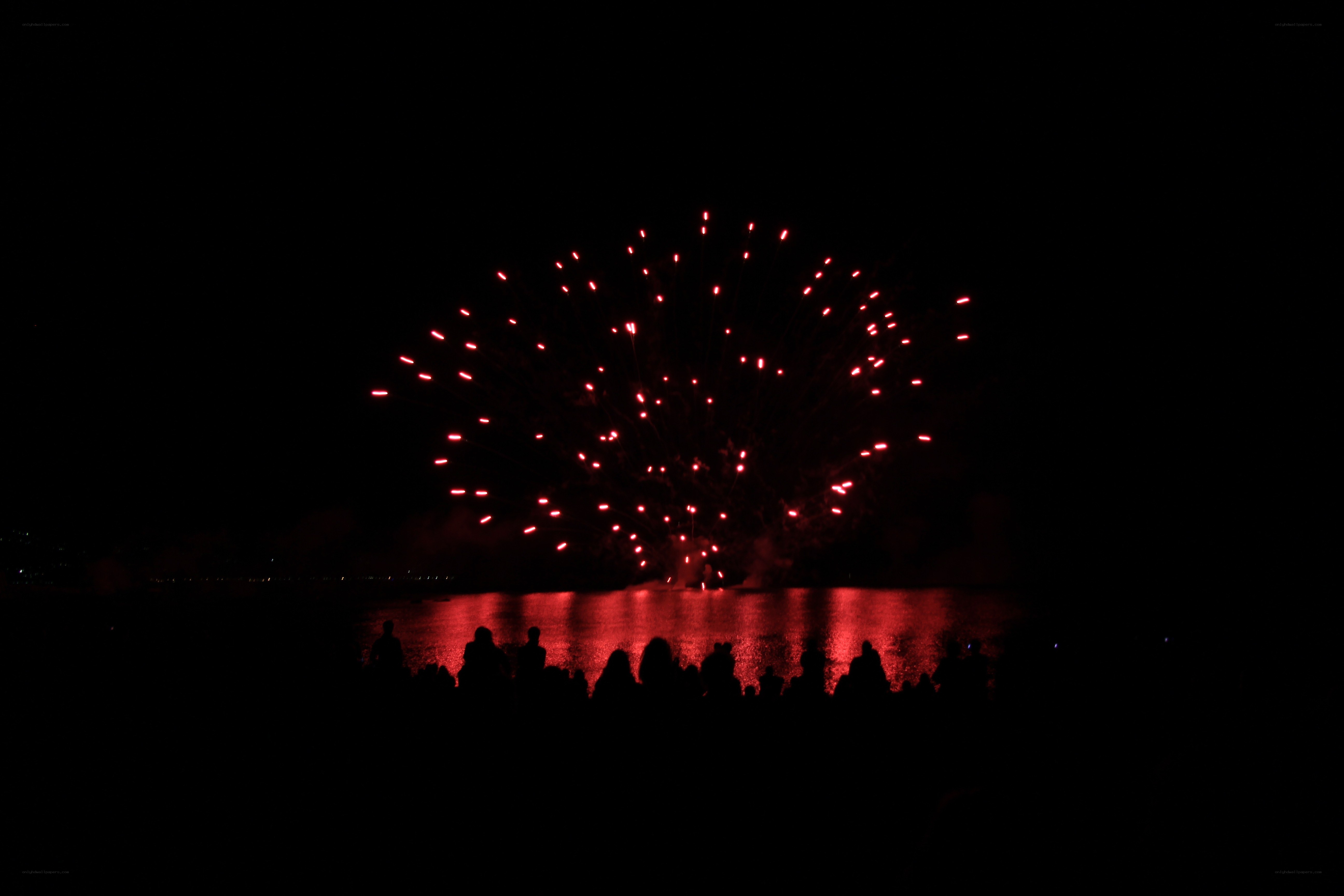 Fireworks over water at night