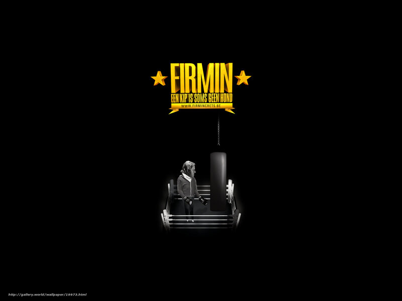 Firmin boxing ring