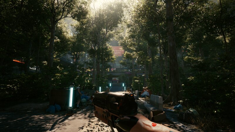 First-person View in Forest