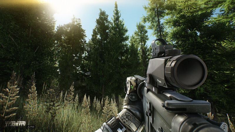 First-person View of Rifle — Green, Tense, Afternoon