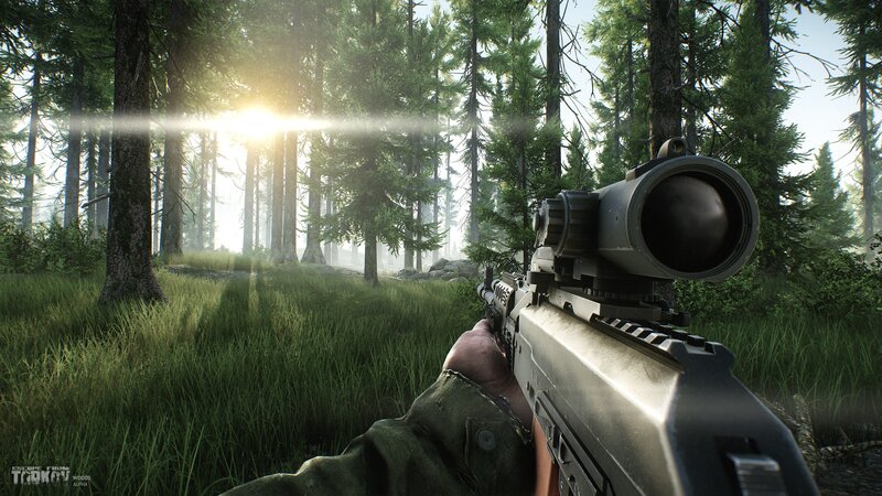 First-person View of Rifle — Green, Tense, Morning