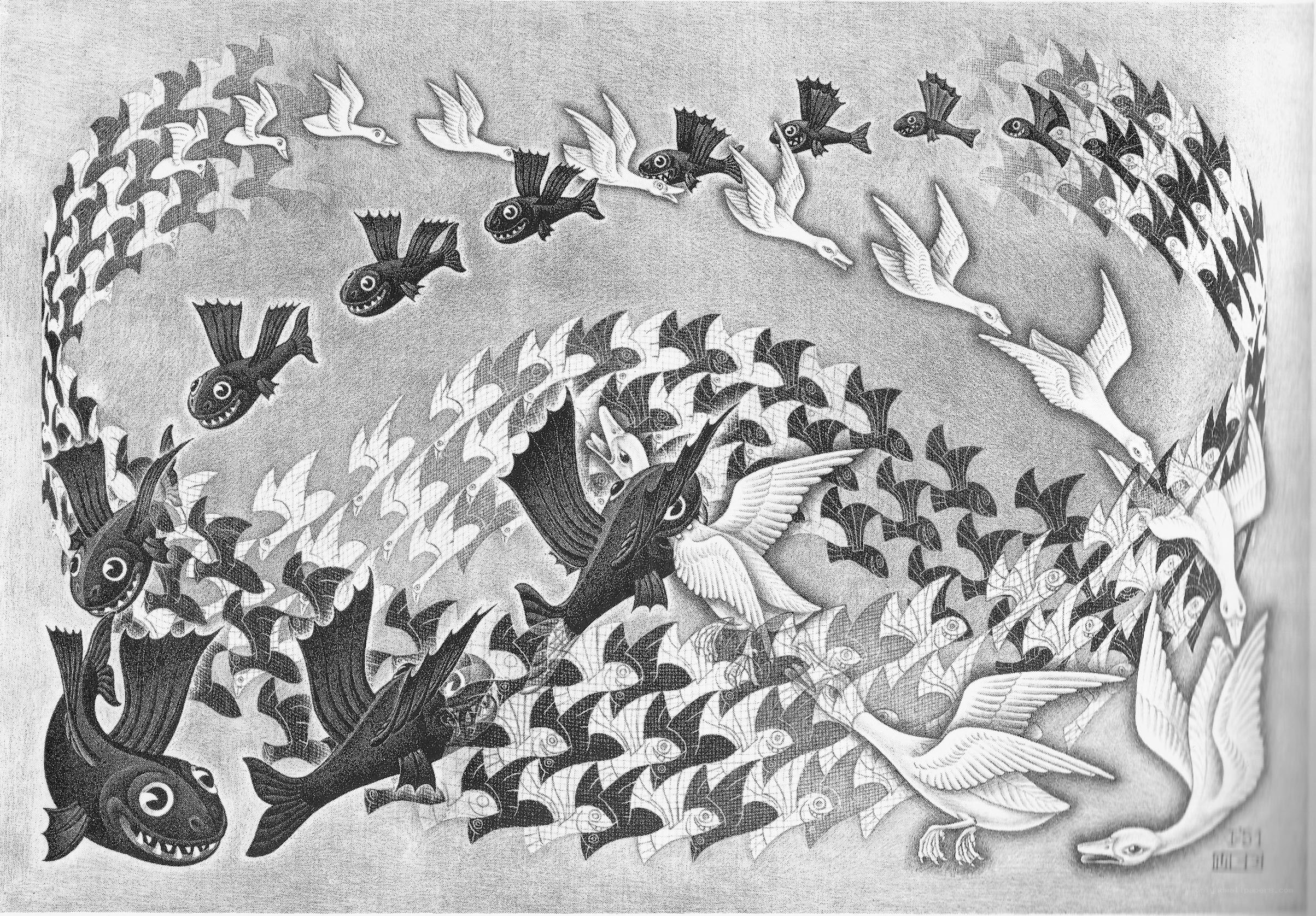 Fish and birds in a surreal pattern