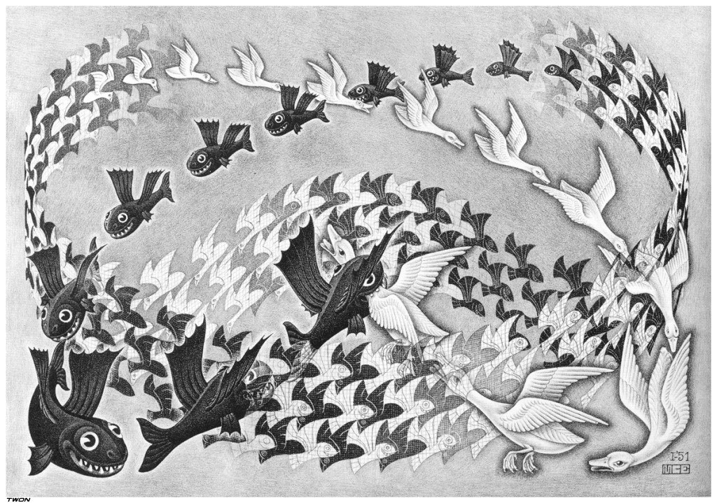 Fish and Birds Transformation