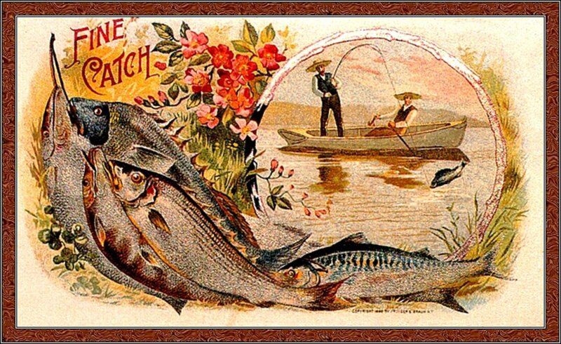 Fish and Fishermen
